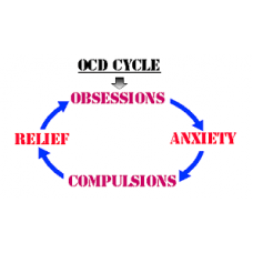 On-Line Therapy Programme for Obsessive Compulsive Disorder (OCD)